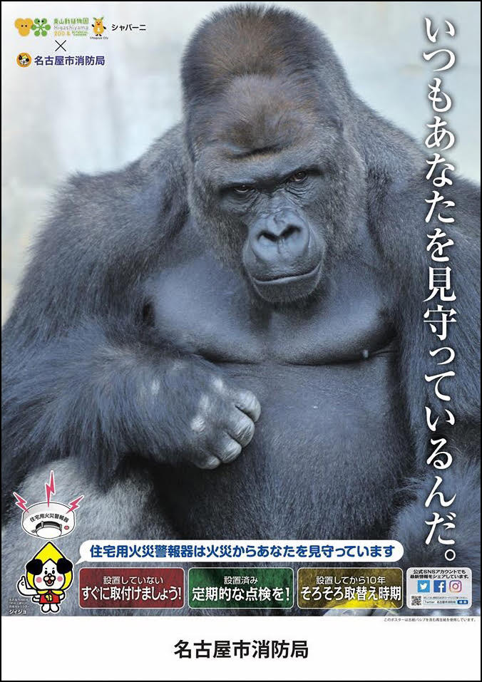 ウルフィ　オブジェ